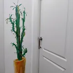 Casa Pelu 度假居