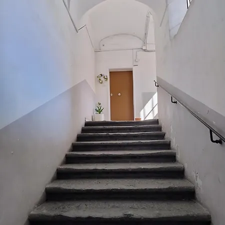 Casa Pelu